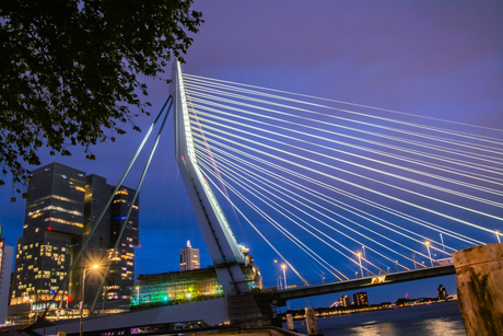 Rotterdam by night