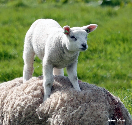"Daar sta je dan..."
