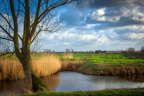 lente in 't verschiet