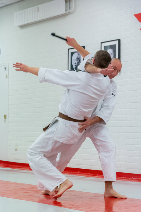 Aikido training