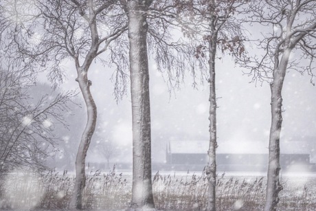 winter in. de polder