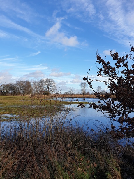 Water in overvloed