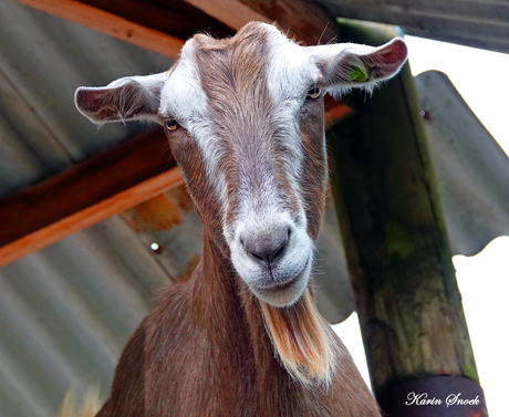 "I see you down there..."