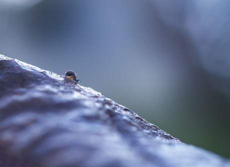 Small, smaller, smallest