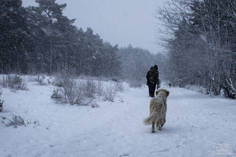 Een winterwandeling in hetzelfde ritme