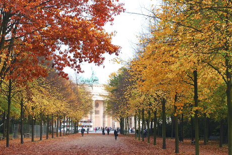 Herfst bij de Brandenburger Tor