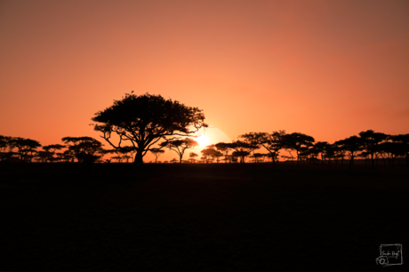 Zonsopkomst Zuid Afrika