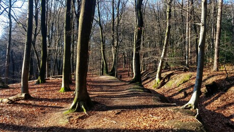 Duivelsberg