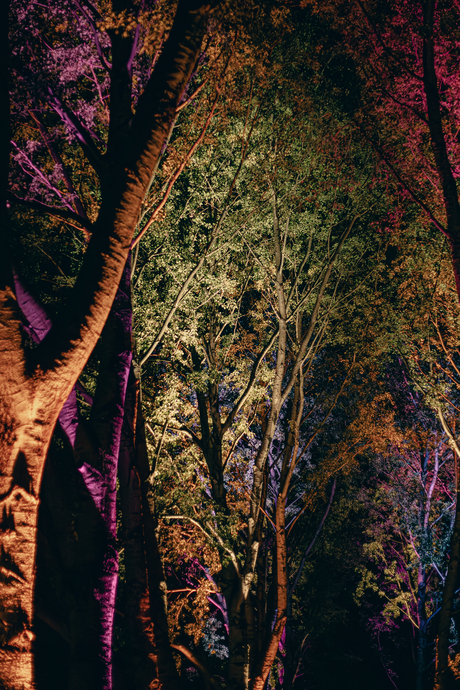 lichtfestival alluminous almere