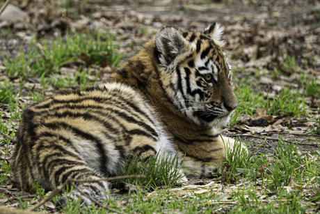 Lekker op verkenning