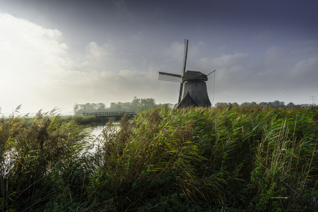 Molen