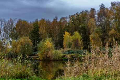 Herfst