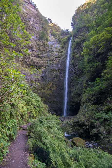 Groene ketel Madeira
