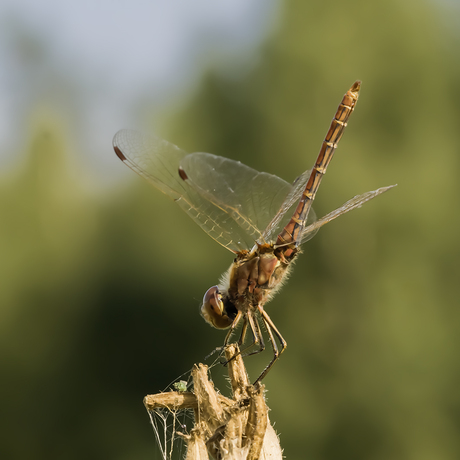 Ooit in de Appelzak 2