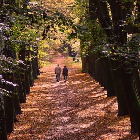 herfst in Noord Holland