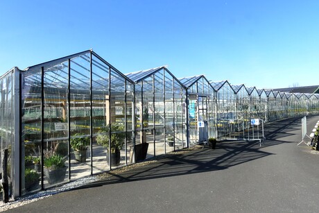 P1270780  KOM IN DE KAS  2025  Warenhuis Wandhangers  tuin 7   4000m2  5 april 2025 