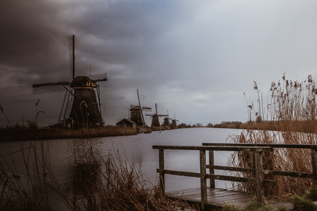 Windmills of Kinderdijk NL