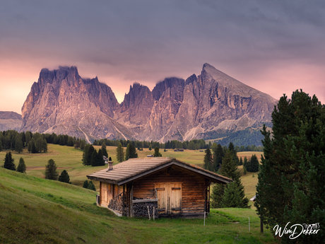 “After the Rain”