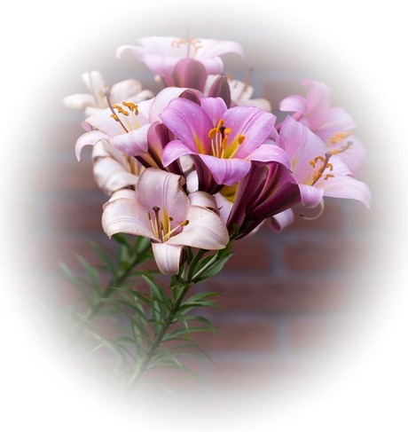 Zo maar een bewerking.