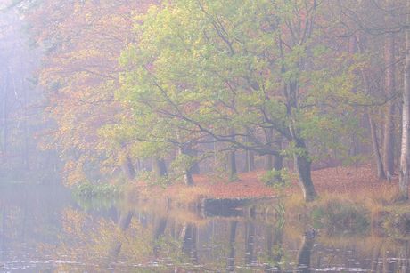 Herfstnevel in de Emmerdennen