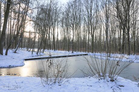 Winters Waterloopbos