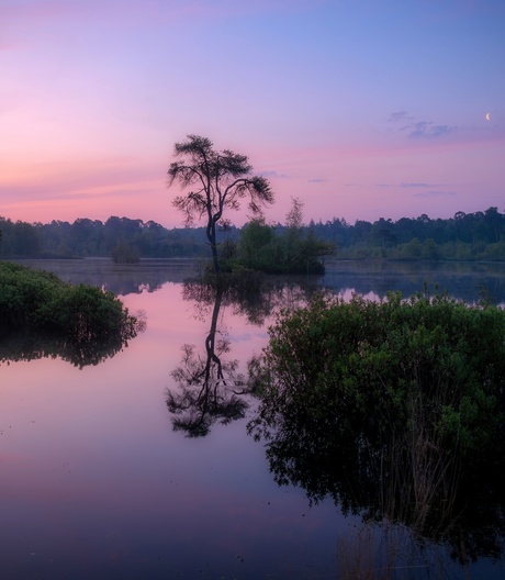 Kleurrijke zonsopkomst 