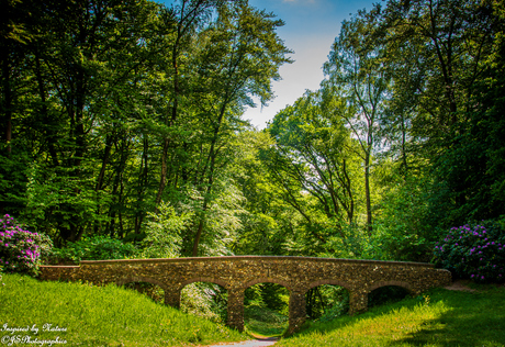 Bridge