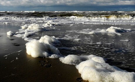 Noordzee 