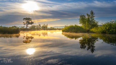 Dwingelderveld 