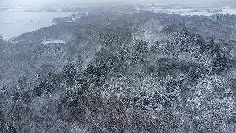 Het Westerbosvan bovenaf  in de sneeuw 