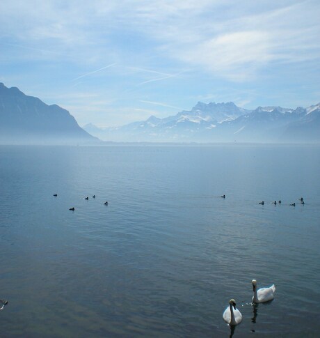 Lake of Geneva