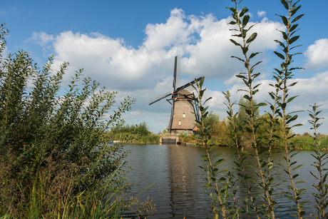 Kinderdijk-1209