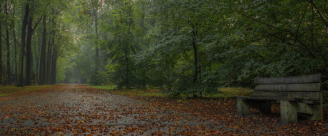 Park Brasschaat