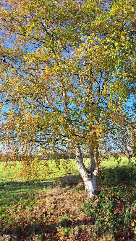 Weer een prachtige herfstdag