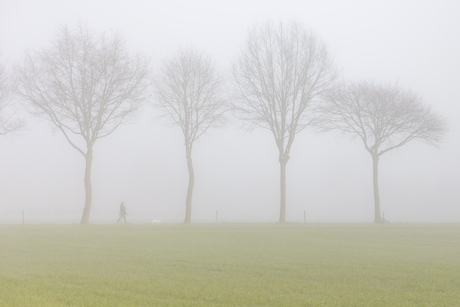 wandeling met hond in de mist