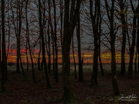 Sunset bij Signal de Botrange