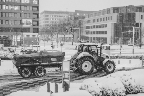 Let it snow Rijswijk 7