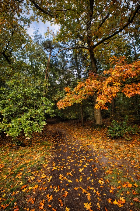 Kleurverandering