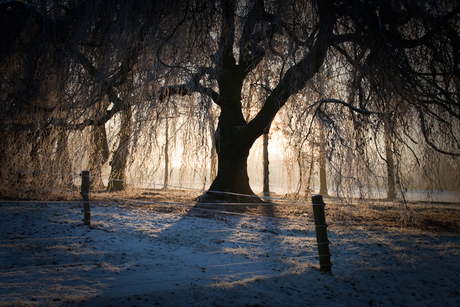 Winter boom contour 1