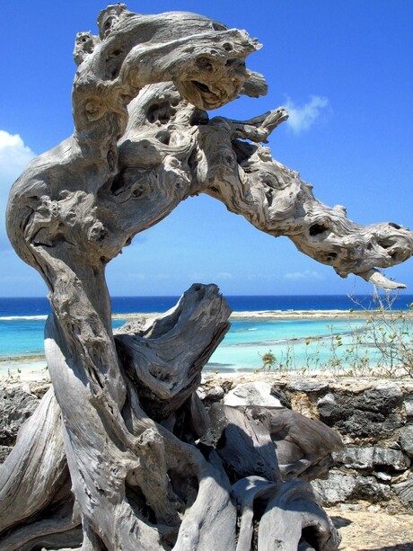 Babybeach Aruba