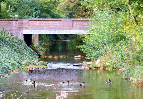 De brug