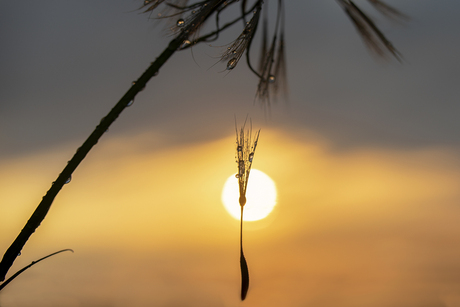 Tijd om te vertrekken