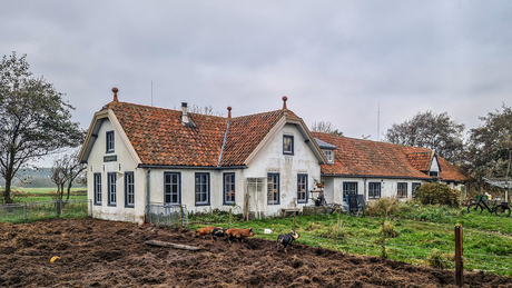 Vogelopvang Terschelling