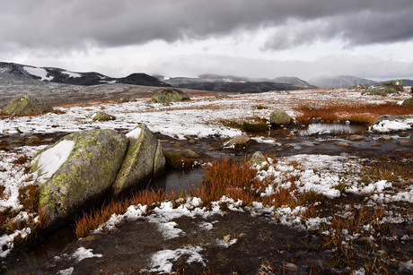 Plotseling een kouder nachtje