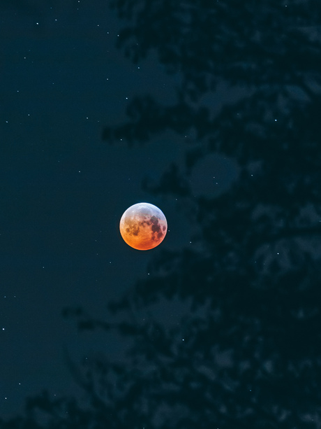 Bloodmoon II