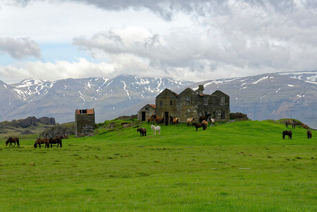 IJsland boerderij