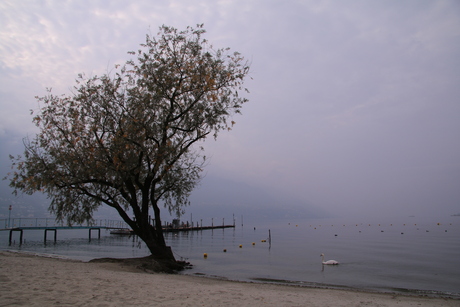 romantisch strandje aan het Lago Maggiore in Zwitserland