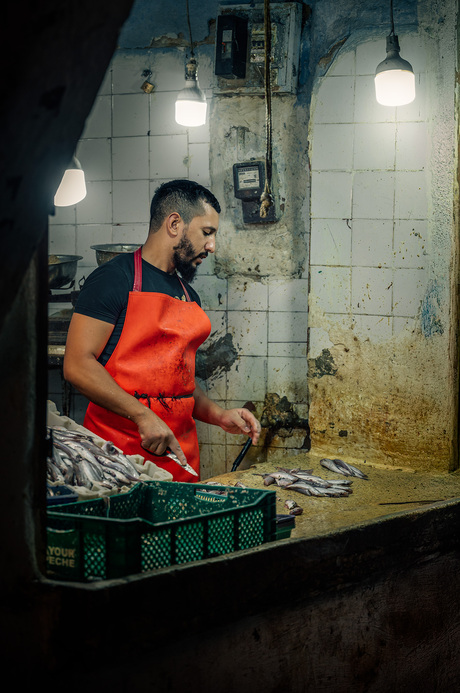 Het leven in de oude medina van Fès