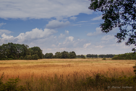 De Stroeten