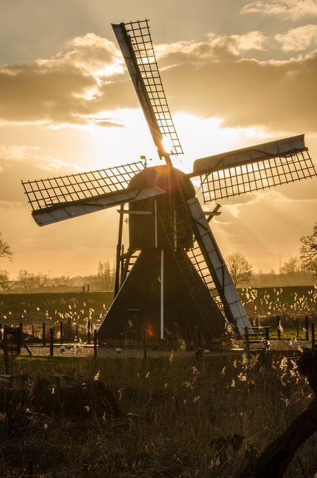 Molen